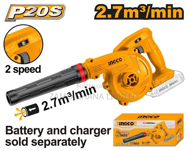 Cordless Blower 20v 2 Speed + Battery - Cabli200181 · Photo 1
