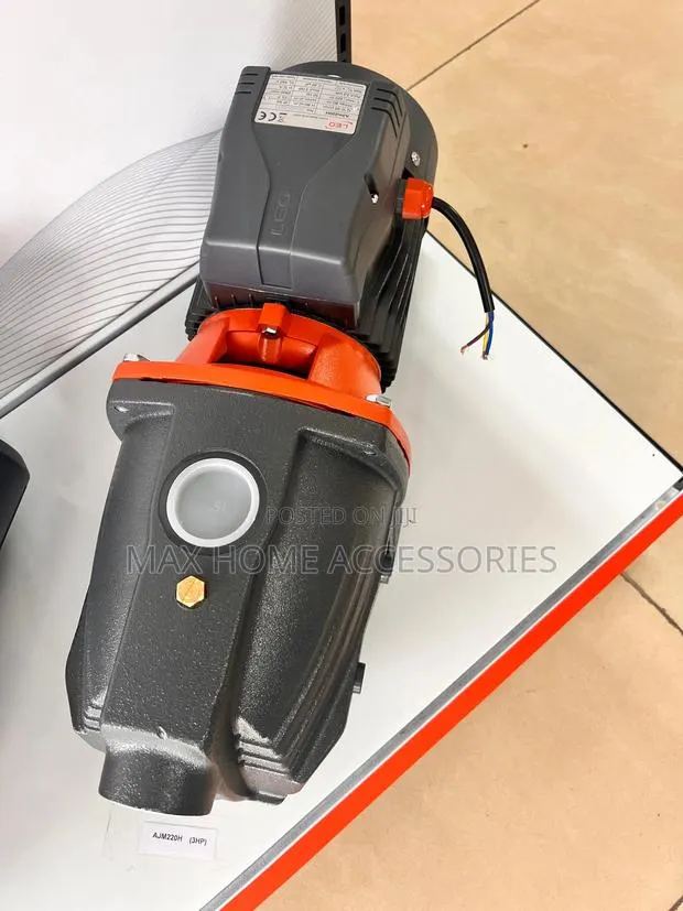 Leo Big Pump · Photo 1