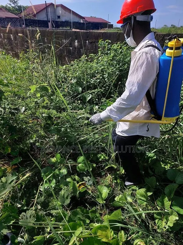 T-Advance Pest Solution · Photo 1