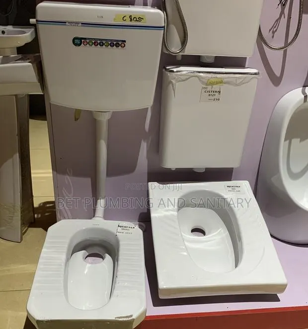 Squatting Bowl With Cistern Complete · Photo 1