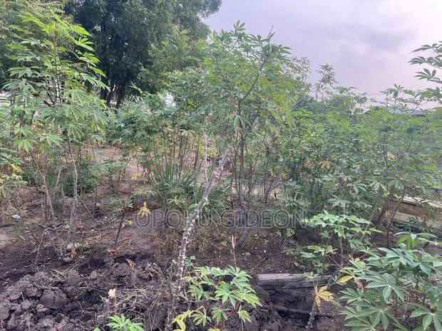 Half Plot of Land for Sale at Ablekuma · Photo 1