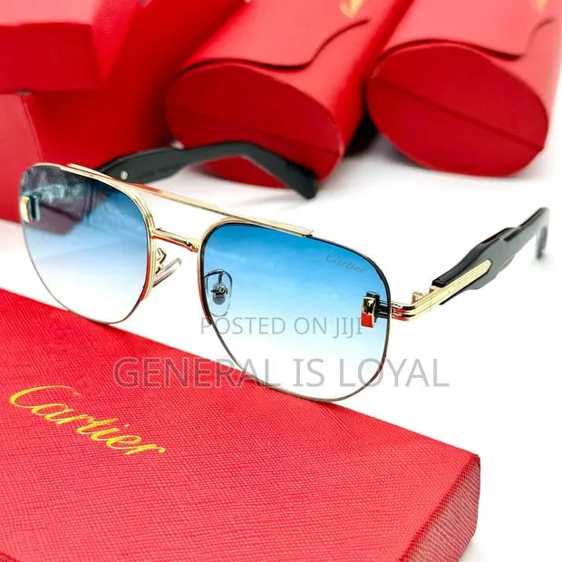 Cartier Blue Frame Sunglasses · Photo 1