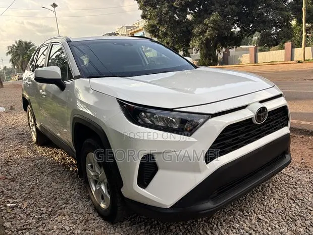 Toyota RAV4 LE AWD 2019 Gray · Photo 1