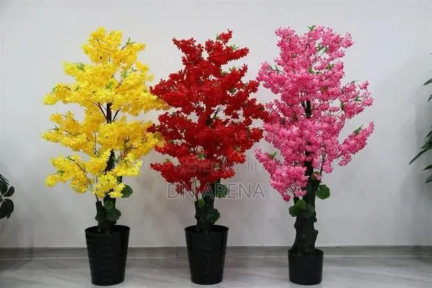 Blossom Tree Available
Height: 160cm · Photo 1