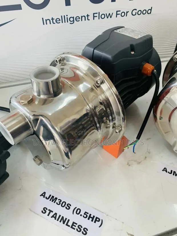 Awesome New Ajm30s [0.5hp] Leo Stainless Pump · Photo 1