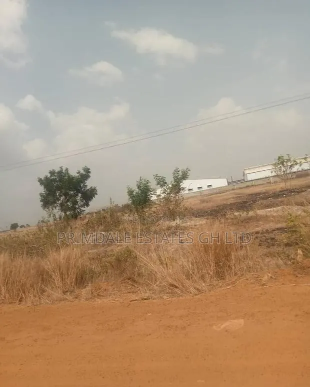 Fast Half Plots Sales Tsopoli Lands · Photo 1