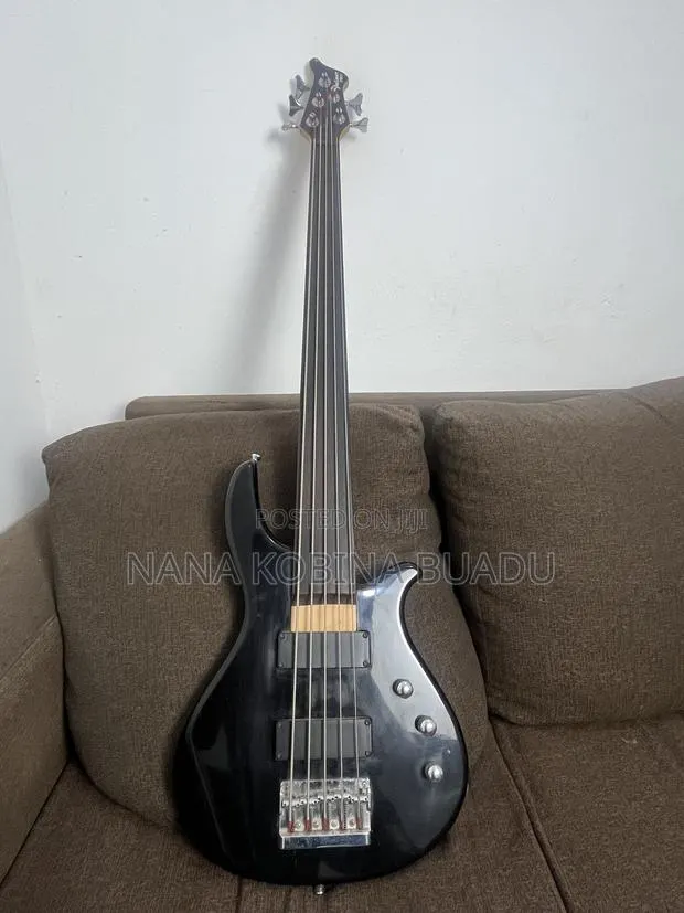 Palmer FB05 Fretless Bass Guitar · Photo 1