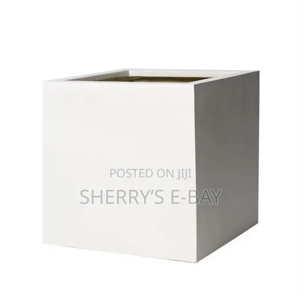 Artificial Water Ficus Plant(with Concrete Pot) · Photo 5