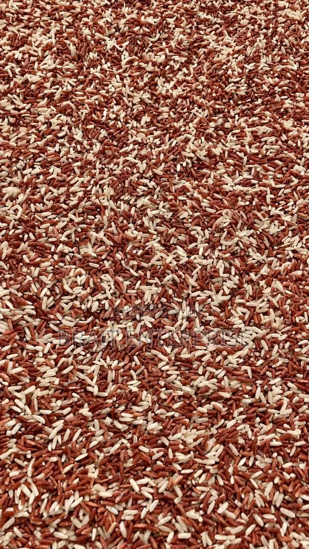 Brown Fiber · Photo 1