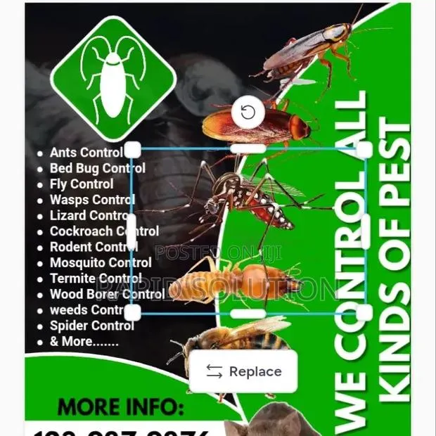 Pest Removal · Photo 1