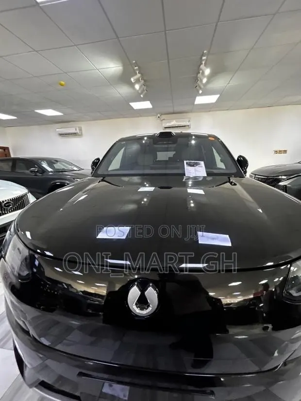 New Denza N9 2.0 Hybrid AWD 2025 Black