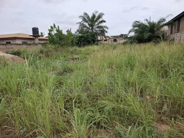 Full Plot of Land for Sale in Sokoban Ampabame · Photo 1