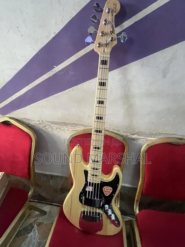 Fender Stratocaster Electric Guitar · Photo 1