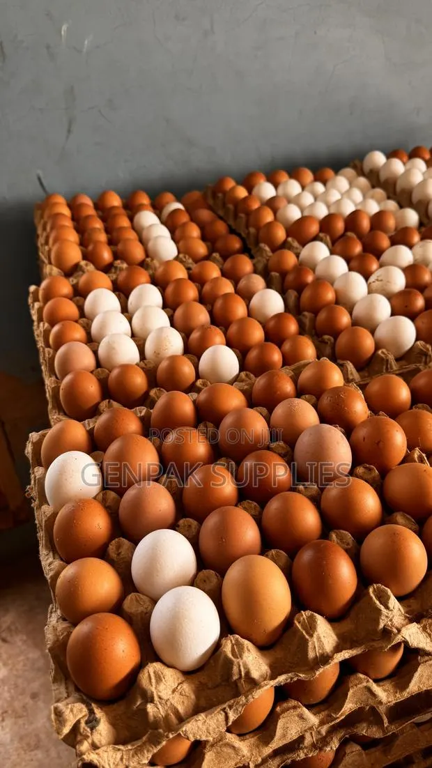 Fresh Farm Eggs Wholesale · Photo 1