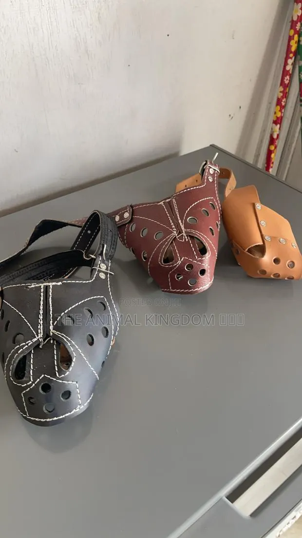 Dog Muzzles · Photo 1