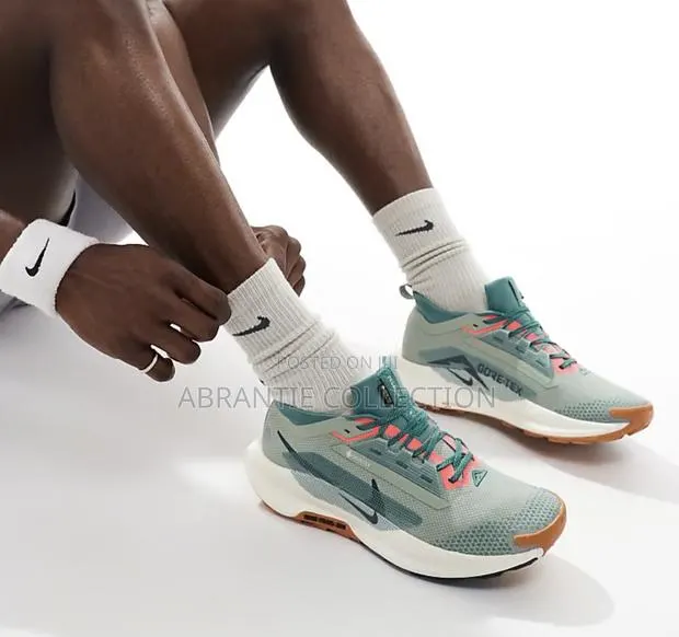 Nike React X Pegasus Available · Photo 1