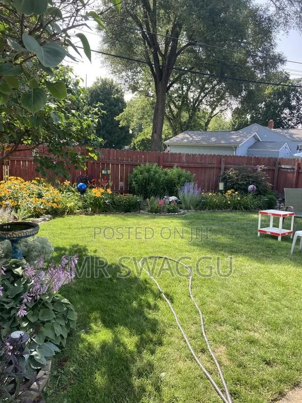 Professional Gardener- Lawn Mowing Weeding in Tema · Photo 1