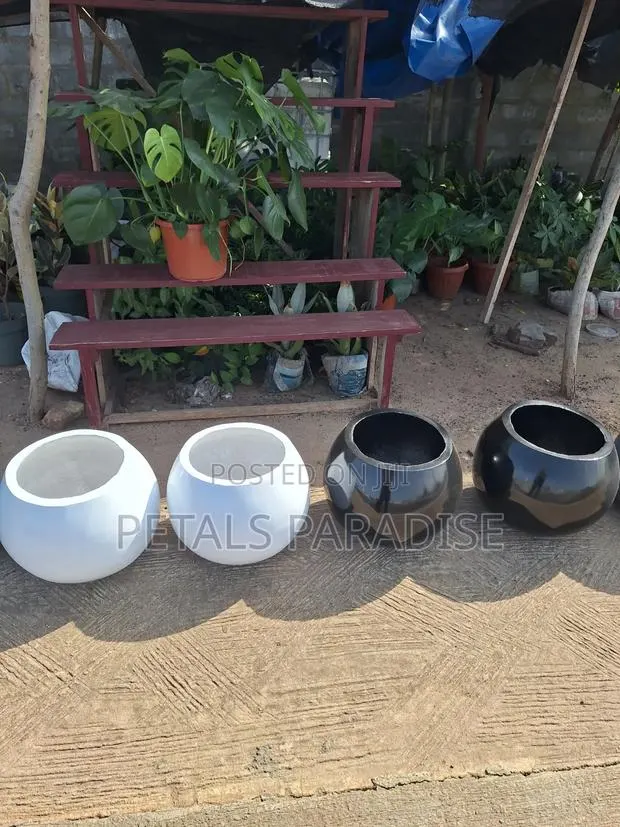 Flower Pots for Sale