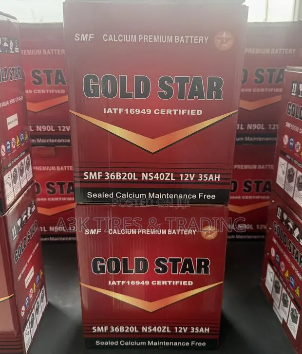 Gold Star SMF Batteries 9PLT · Photo 1