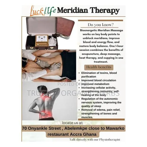 Quality Meridian Massage Machine · Photo 1