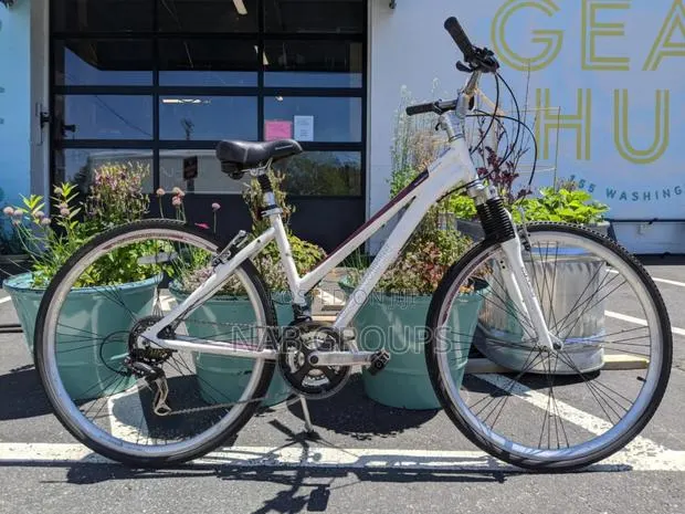 DBS Hybrid Bike · Photo 1