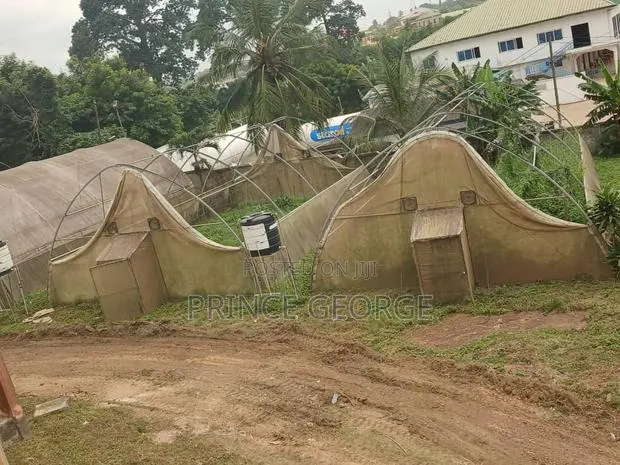 Greenhouse for Sale ( Used Greenhouse) · Photo 1