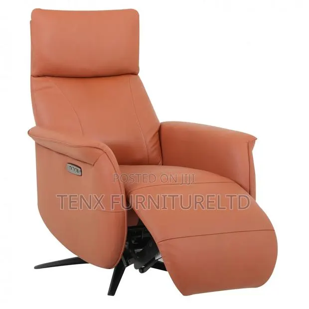 Recliner Chair (Spectra) · Photo 1