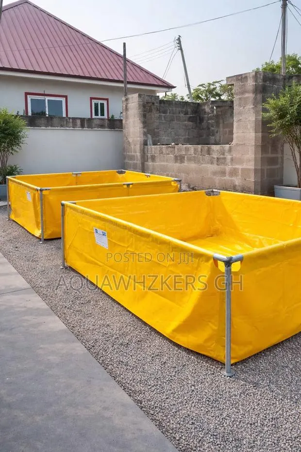 Start Your Fish Farming · Photo 1