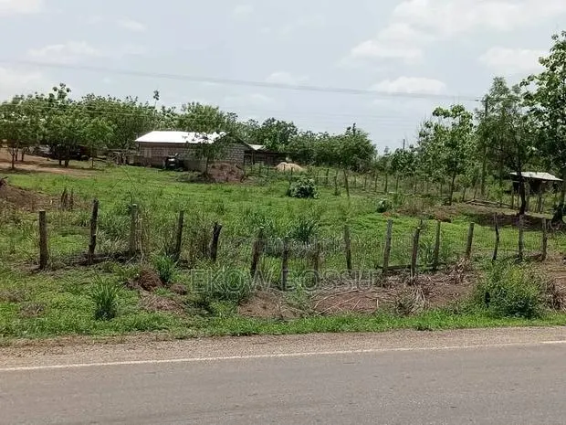 Poultry/ Goat/ Piggery · Photo 2