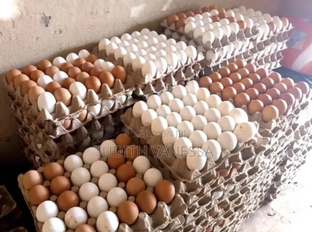 Fresh Eggs in Dansoman