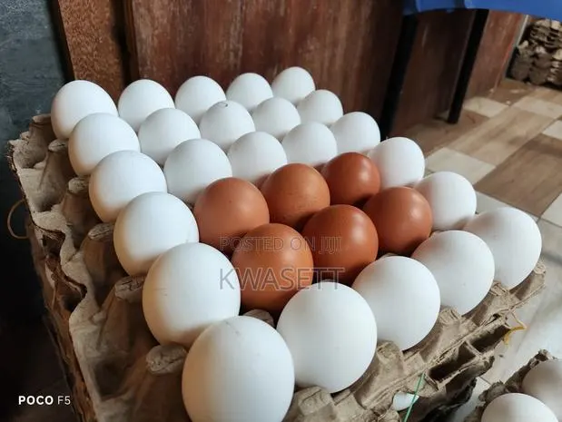 Farm Fresh Eggs · Photo 1