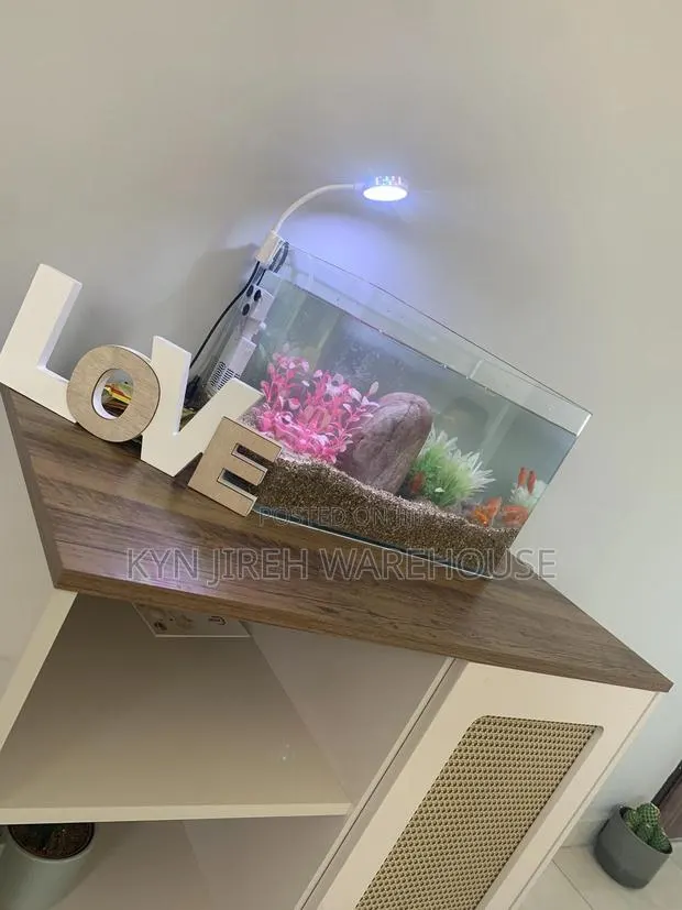 Tetra Tabletop Aquarium With 10 Tetras Fishes · Photo 1