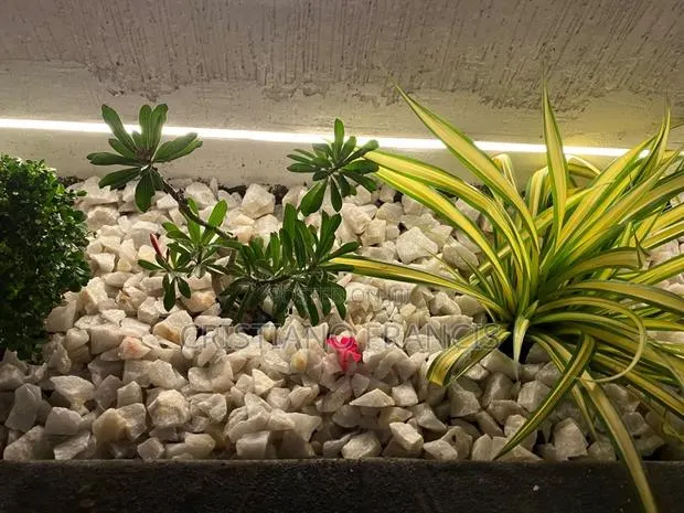 Chris Garden · Photo 2