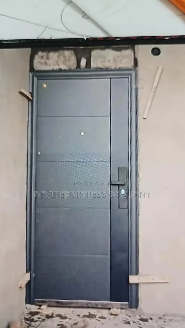 High Quality Paladin Smooth Gray and Black Color Door Single · Photo 1