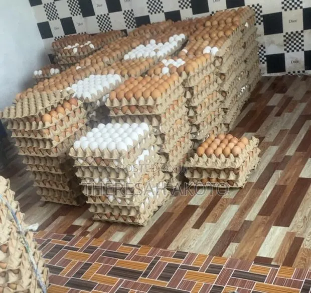 Fresh Eggs · Photo 3