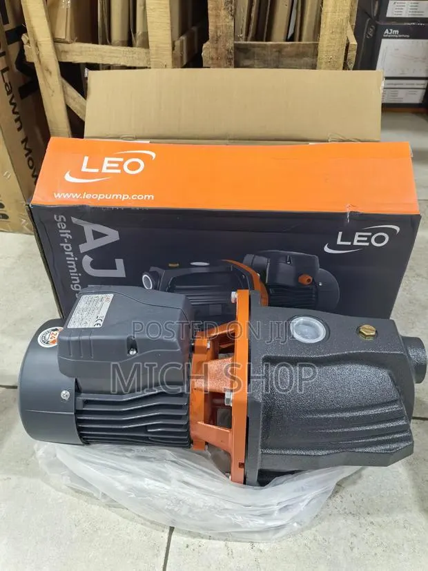 Leo Pump Cast Iron · Photo 1