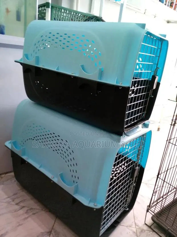 Quality Large Plastic Dog · Photo 1