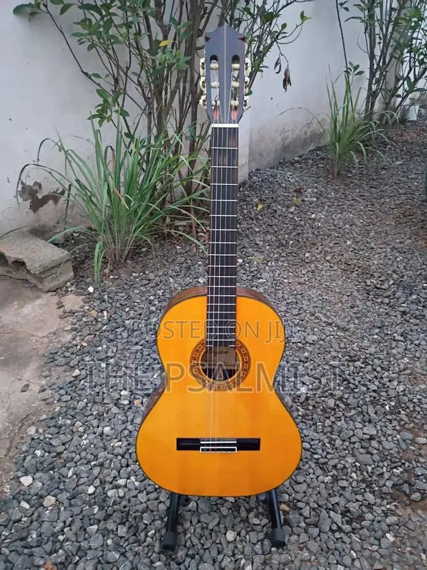 Kingston C- 120 Classical Guitar · Photo 1