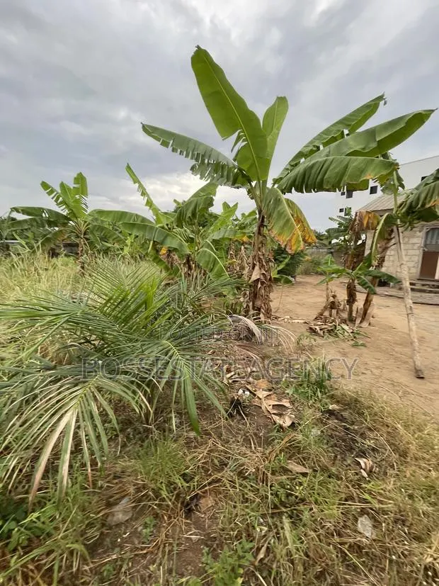 Full Plot of Land Going Out for Sale at Lomnava -Oyibi · Photo 1