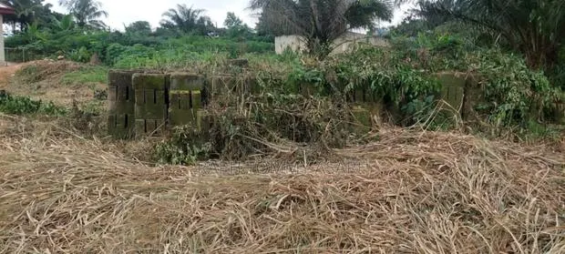 Plot of Land With 1700 Blocks and 2 and Half Trips of Sand for Sale · Photo 1