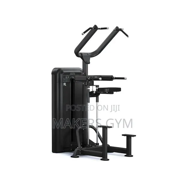 Assisted Chin Dip Machine (Commercial) Heavy-Duty · Photo 1