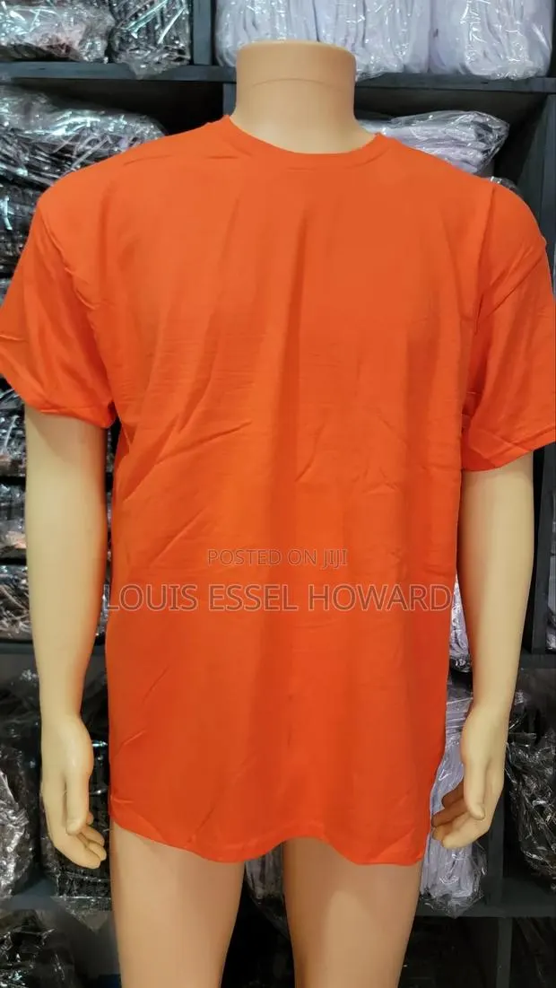Gildan T Shirt for Sale · Photo 1
