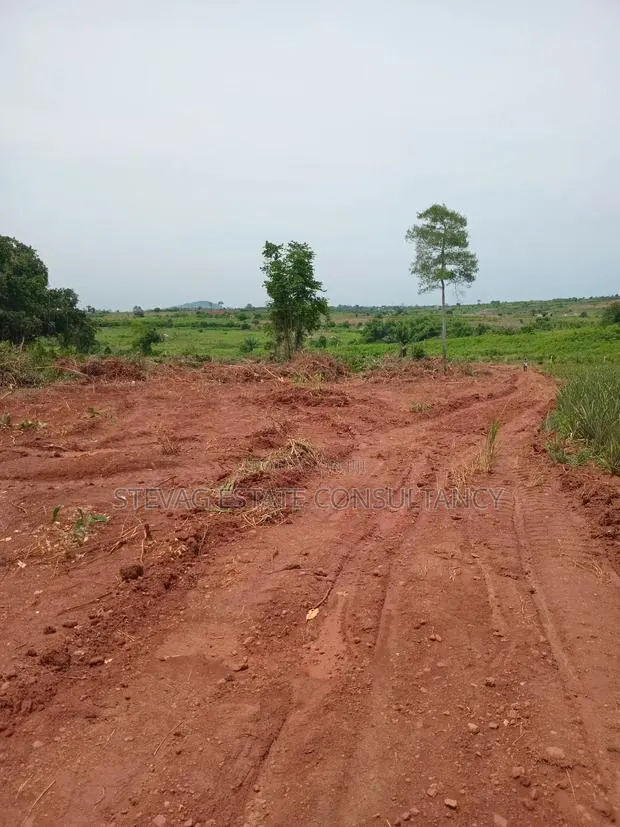 Alpha Estate Land for Sale Kweikrom · Photo 1