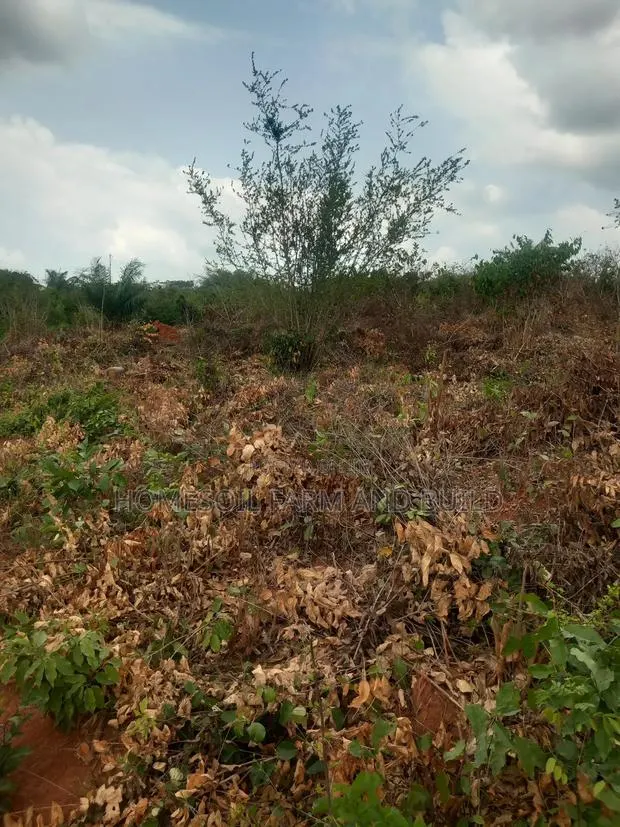2.0 Acres of Land for Sale · Photo 1
