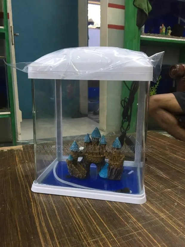 Mini Aquariums Tanks · Photo 1