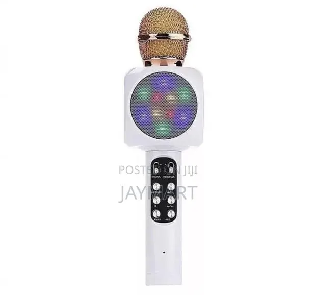 Karaoke Portable Microphone · Photo 1
