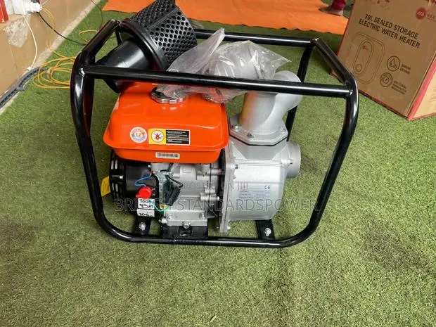 Powerful Engine 6.5hp Leo Water Pump · Photo 1