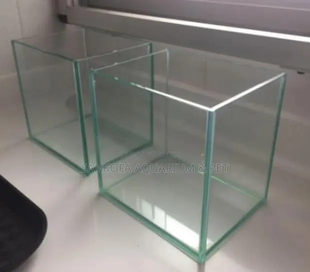Point Kill Aquarium Fish Tank · Photo 1