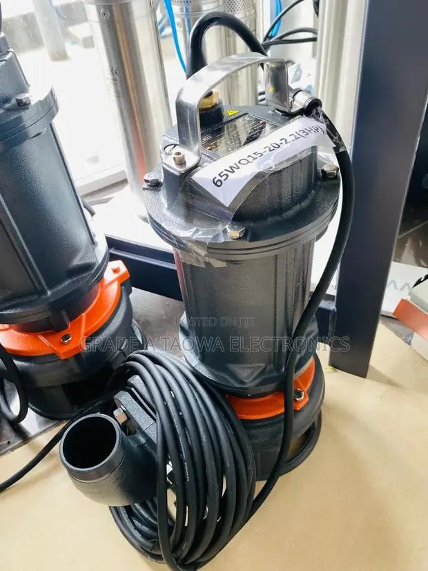 3HP Leo Sewage Water Pump · Photo 1