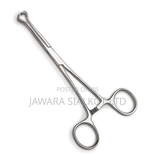 Babcock Tissue Forcep 16 Cm · Photo 1